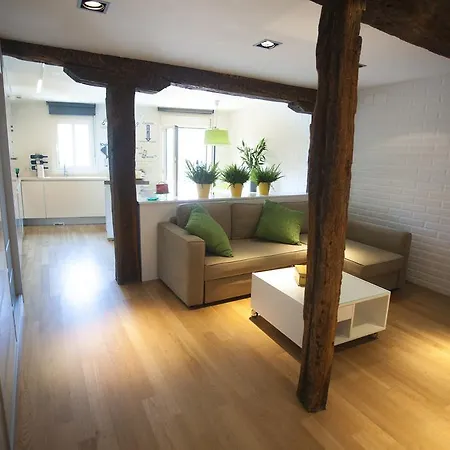 ホテル Sercotel Arenal 3*